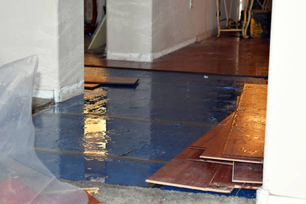 Professional Water Damage Restoration technician working in Brinklow, MD